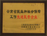 2004年被云南省工商聯(lián)合會(huì)授予“先進(jìn)民營(yíng)企業(yè)稱(chēng)號(hào)”